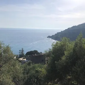 orchidea-bonassola.hotelitalianriviera.com/
